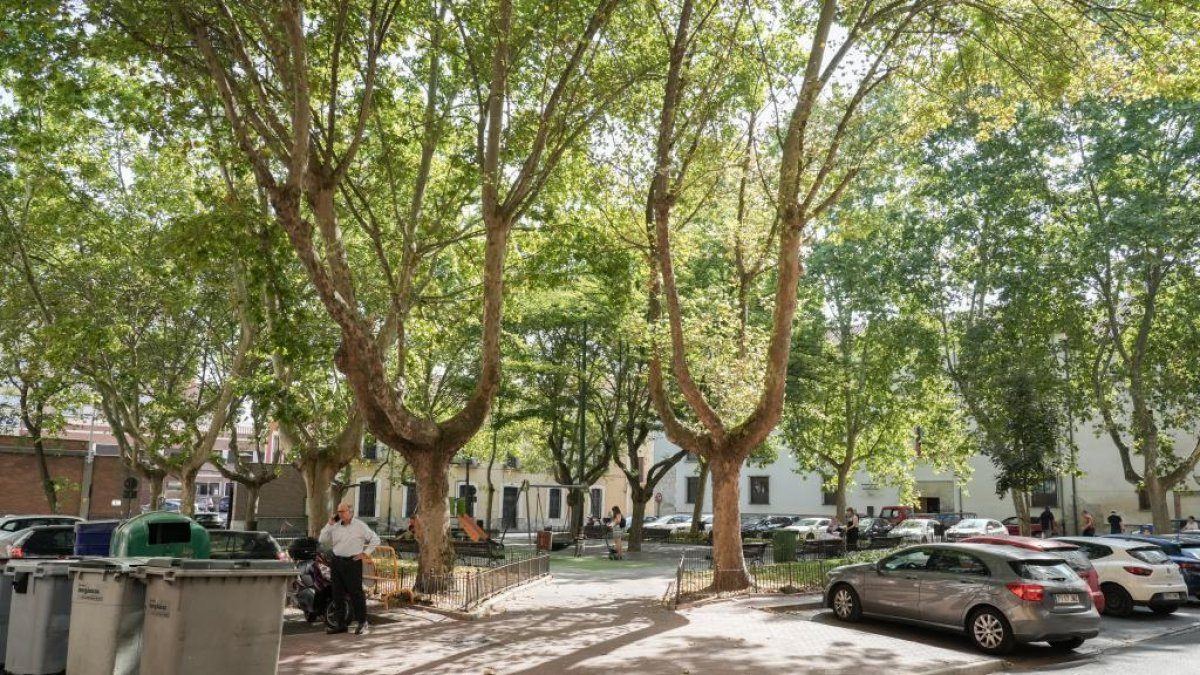 Valladolid transforma la Plaza de las Brígidas en un jardín peatonal con guiños a Miguel Delibes