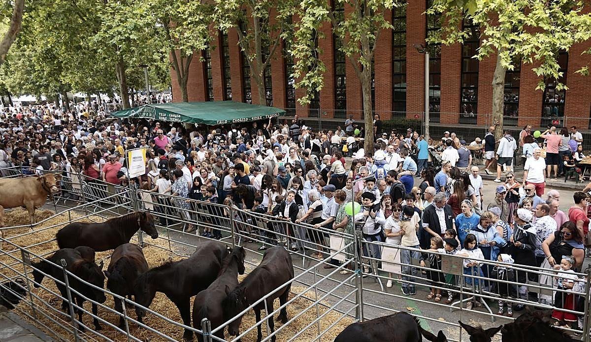 El campo alavés conquista la ciudad en la Feria Agrícola de Santiago