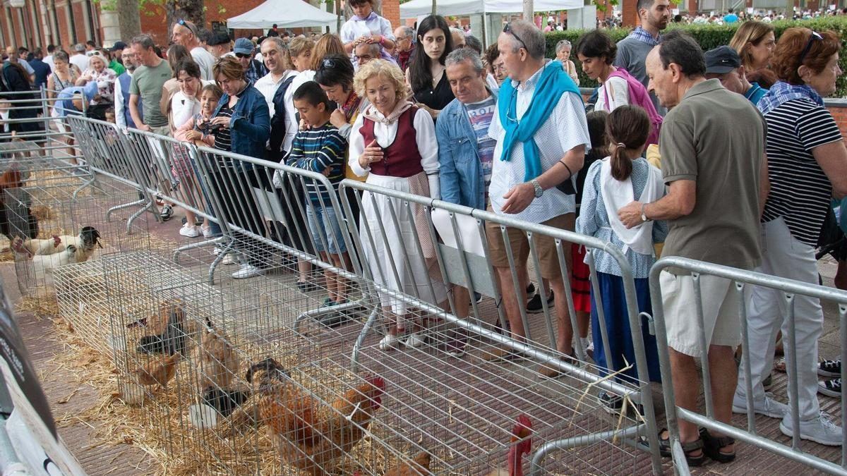 El campus universitario de Vitoria se llena de vida con la tradicional Feria Agrícola de Santiago