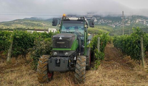 Bodegas dejan sin comprador a viticultores de Rioja Alavesa a días de la vendimia