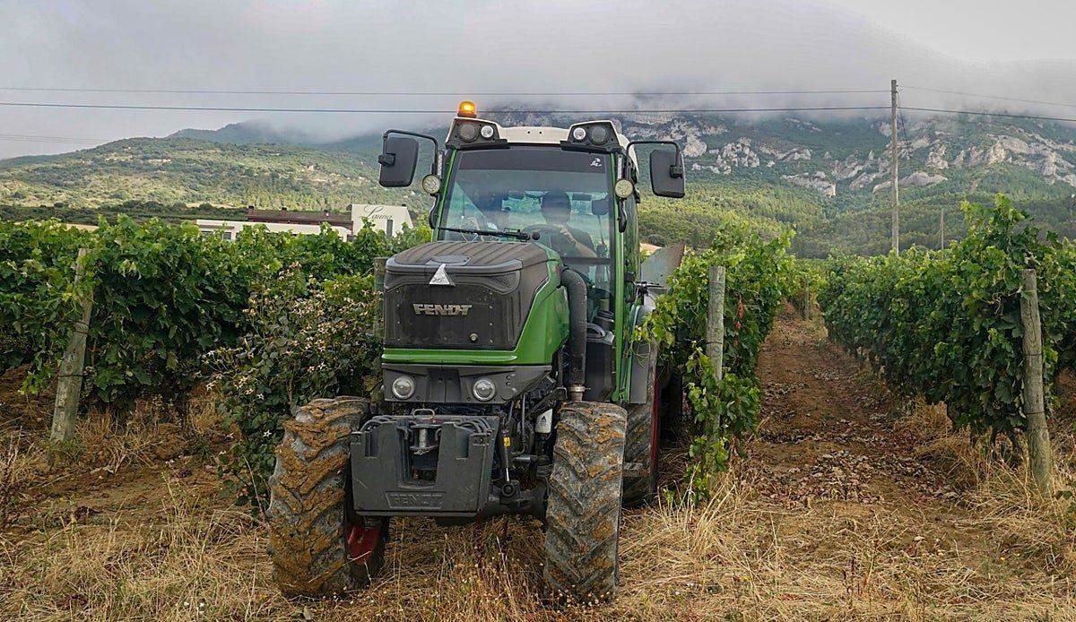 Bodegas dejan sin comprador a viticultores de Rioja Alavesa a días de la vendimia