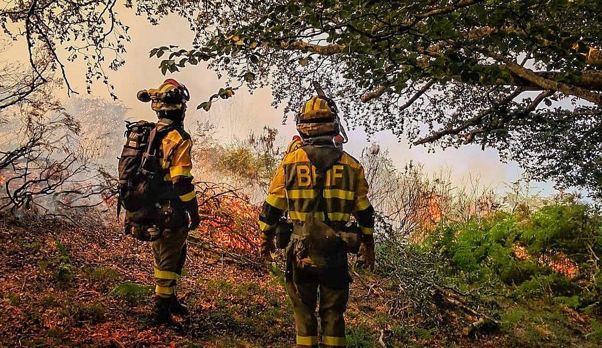 El peor verano de incendios en Álava en años deja más de 300 hectáreas calcinadas y un conato diario de fuego