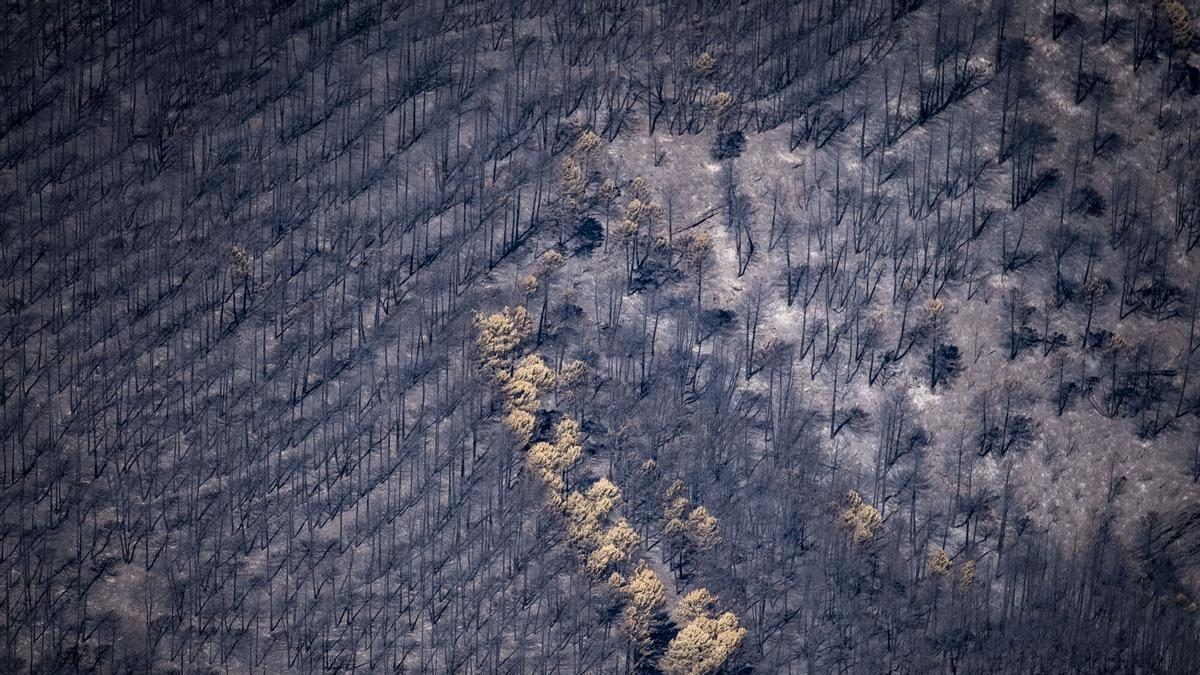 El incendio de Fermoselle cede terreno: doce pueblos reciben luz verde para volver a casa, pero dos aldeas siguen evacuadas