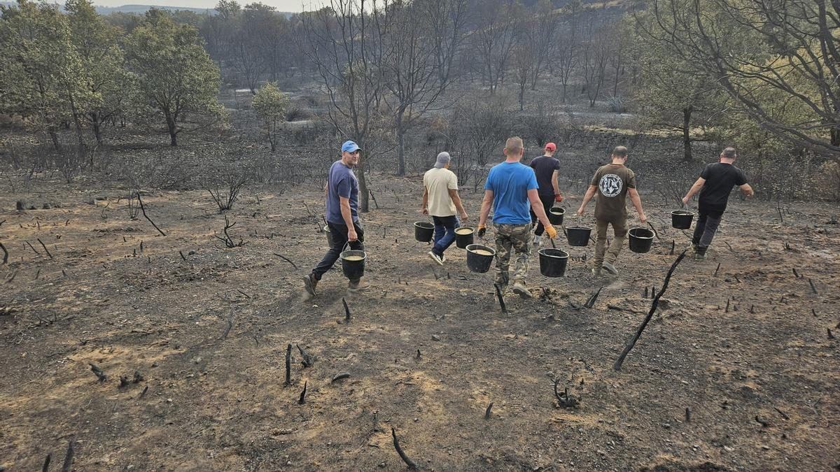 Solidaridad en el monte: los cazadores de Fermoselle salen al campo a dar de comer a la fauna salvaje tras el devastador ince