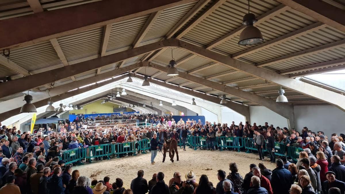 San Vitero abre el plazo para que un hostelero lleve el bar de sus dos ferias más emblemáticas
