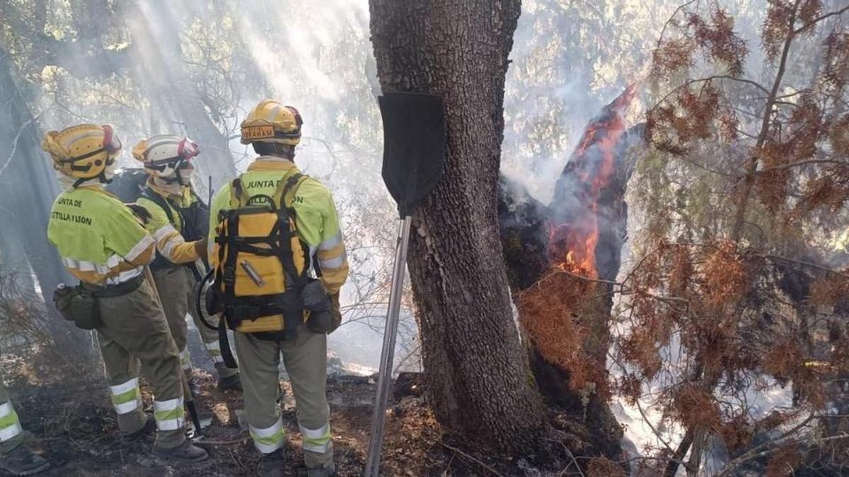 Cinco días contra el infierno en los Arribes: "El combustible libera tanta energía que es imposible acercarse"