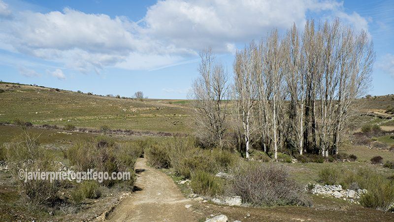 Casi cuatro kilómetros de caminos en Almaraz de Duero recibirán una renovación integral con fondos europeos