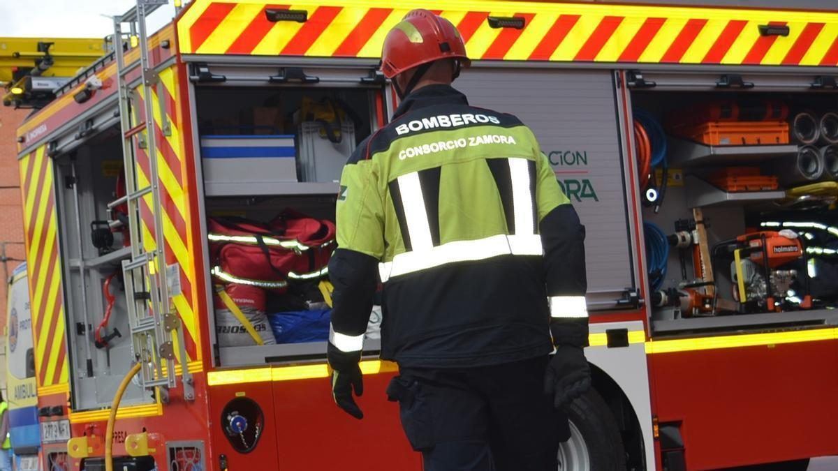 Un camión se incendia en plena A-6 a la altura de Cerecinos de Campos sin dejar heridos