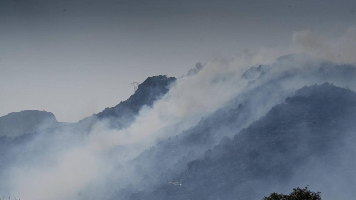 El fuego intencionado marca el verano de Zamora: 84 incendios provocados y miles de hectáreas afectadas