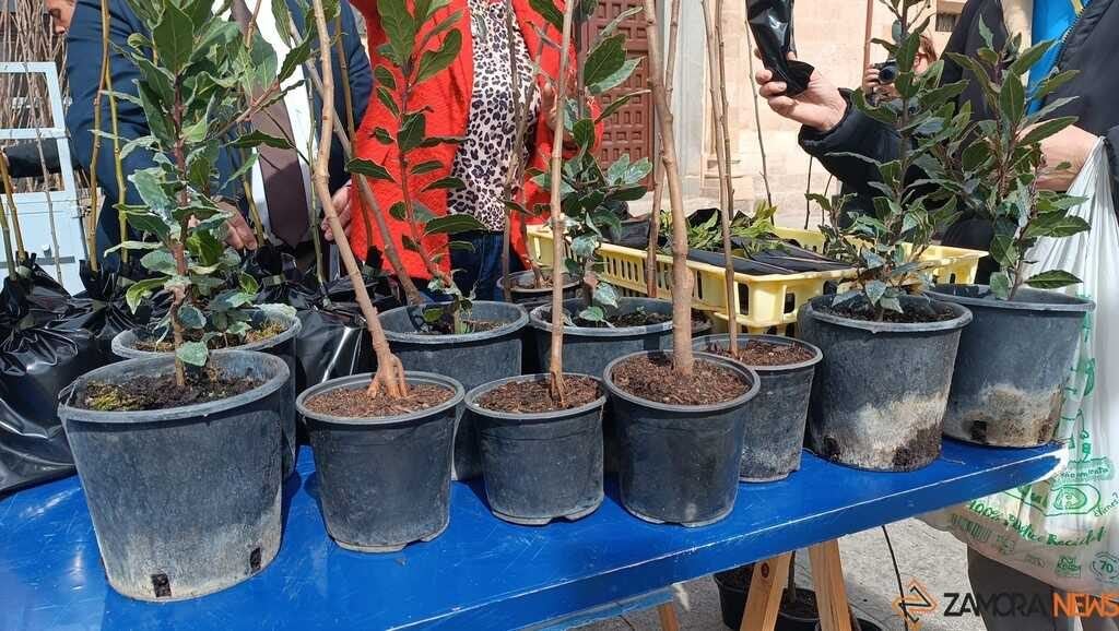 Más de 16.000 plantas llegarán este otoño a los pueblos de Zamora gracias al Vivero Provincial