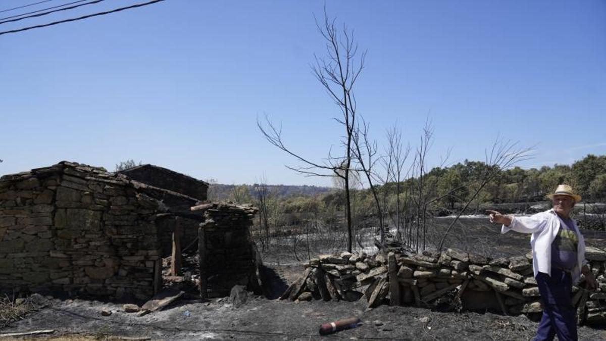 El 95% de los incendios forestales los enciende el hombre, no el clima: la verdad incómoda que nadie quiere escuchar
