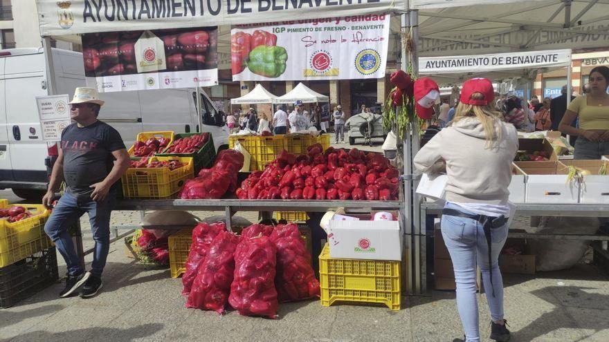 La Feria del Pimiento de Benavente vuelve a dos jornadas gracias a una cosecha prometedora