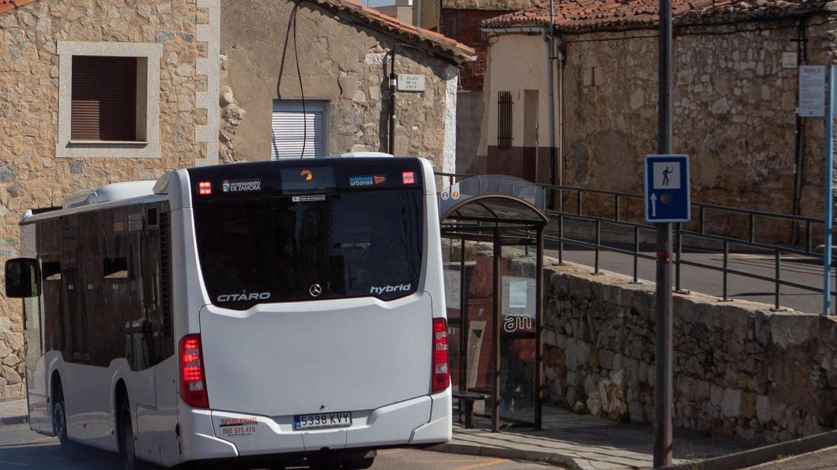 Zamora estrena paradas de autobús conectadas que avisarán en tiempo real de atascos y retrasos