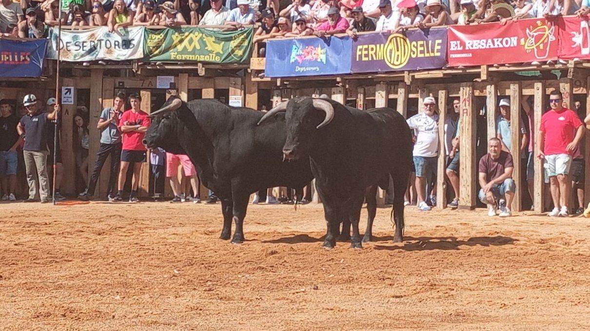 Fermoselle corta el acceso a Pinilla en las jornadas taurinas de las fiestas de San Agustín