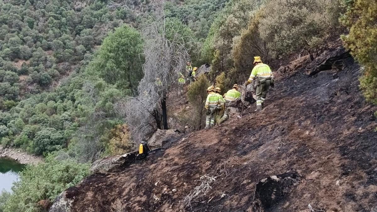 Zamora suma cuatro nuevas cuadrillas de bomberos forestales con una inversión de cinco millones de euros