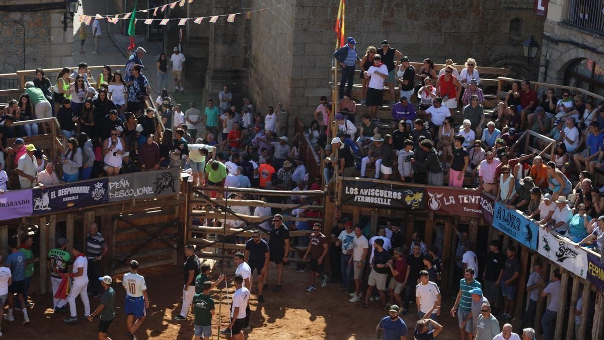 Los naturalistas exigen proteger a los menores tras los incidentes taurinos de Fermoselle