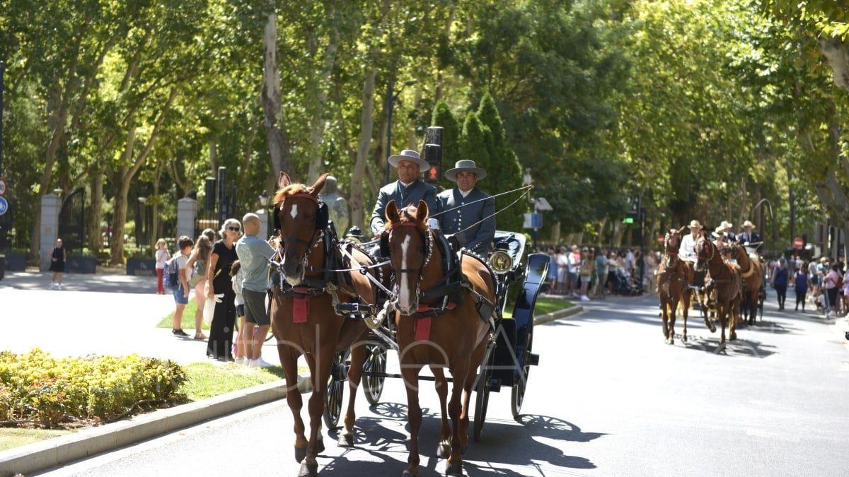 Albacete vive este lunes uno de los días más completos de su Feria con toros, títeres, música y vecindad