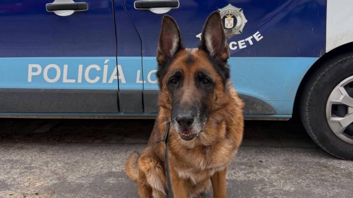 La Policía Local de Albacete da el paso definitivo para contar con su propia Unidad Canina