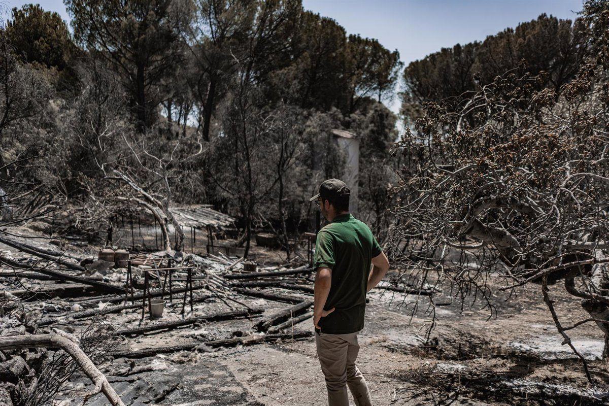 Castilla y León exige al Gobierno que pase de las palabras a los hechos en la restauración del incendio de Burgohondo