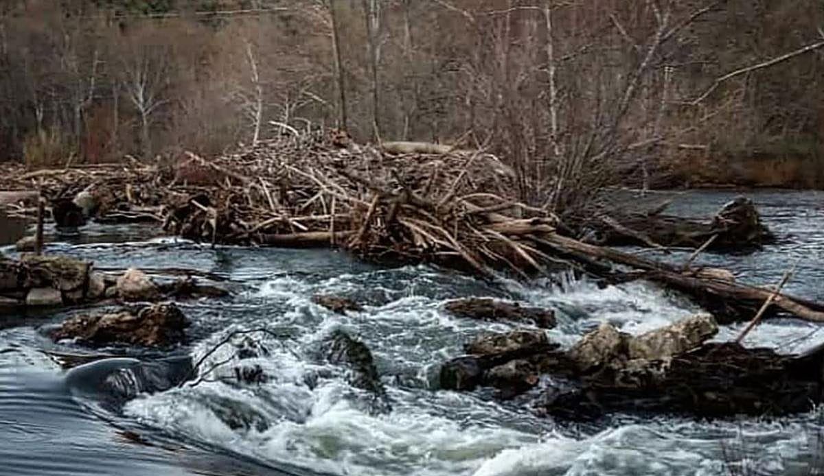 Once años esperando: los vecinos del Valle de Zamanzas claman por la reconstrucción de su puente destruido por el Ebro