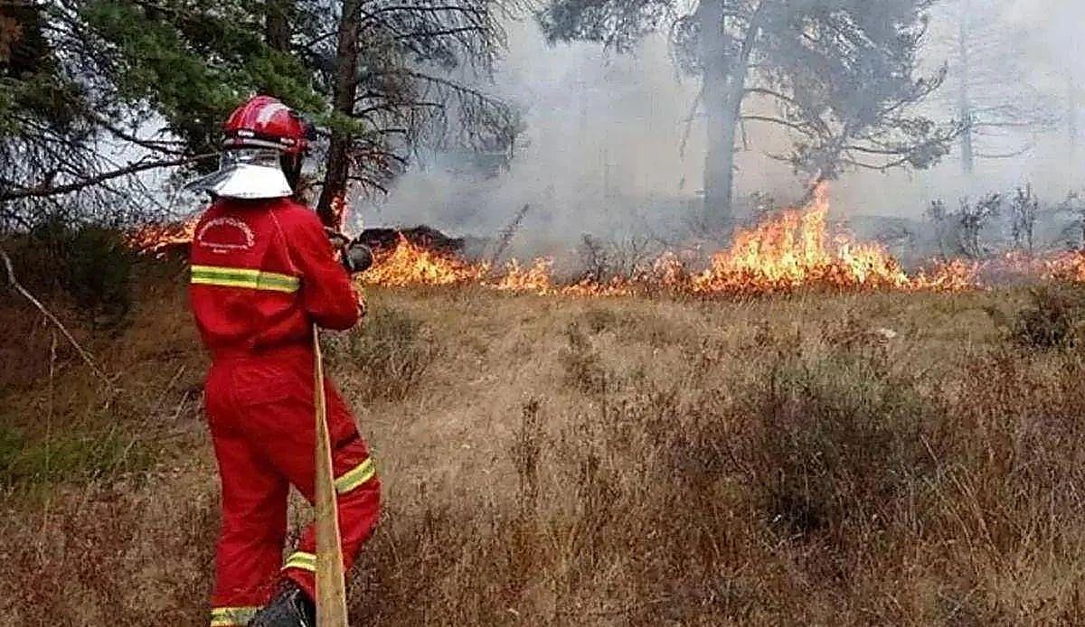 Cuatro días de máxima precaución en Burgos: prohibido encender fuego ante el riesgo extremo de incendios forestales