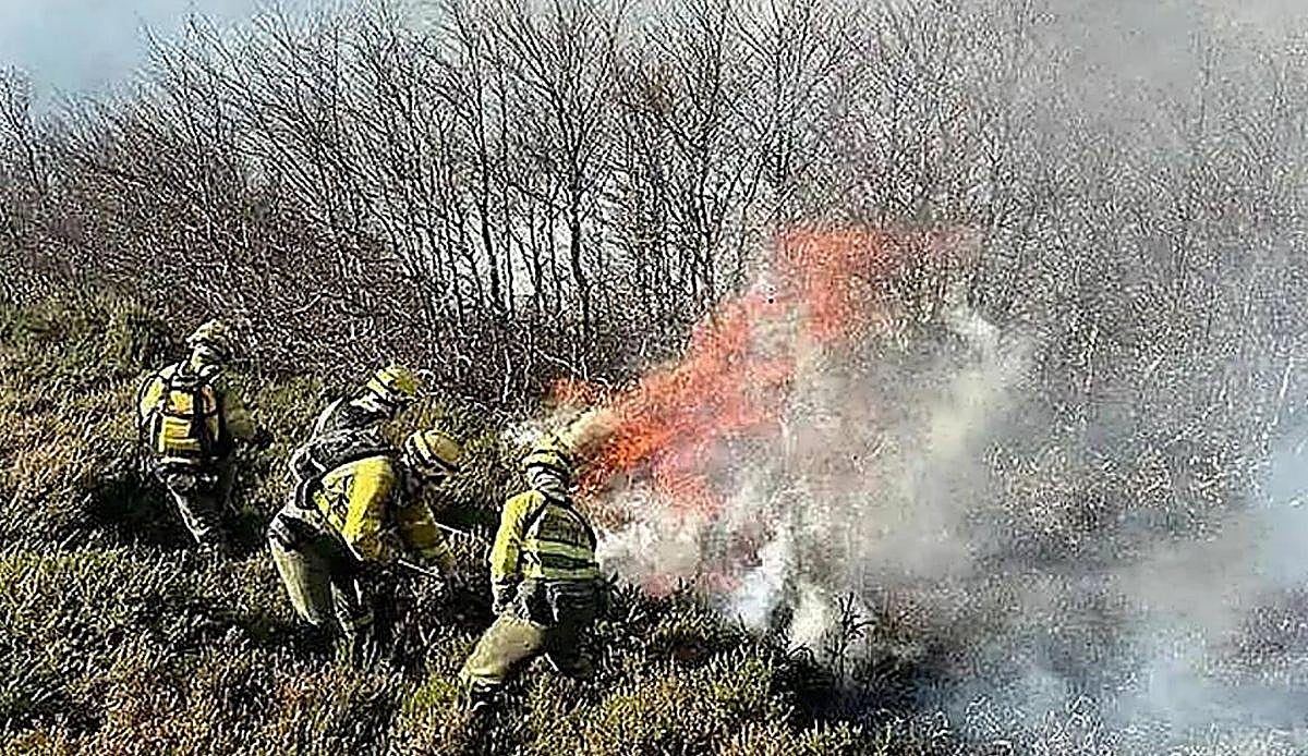 El fuego de La Calabaza devora más de 30 hectáreas y mantiene en alerta a los equipos de extinción