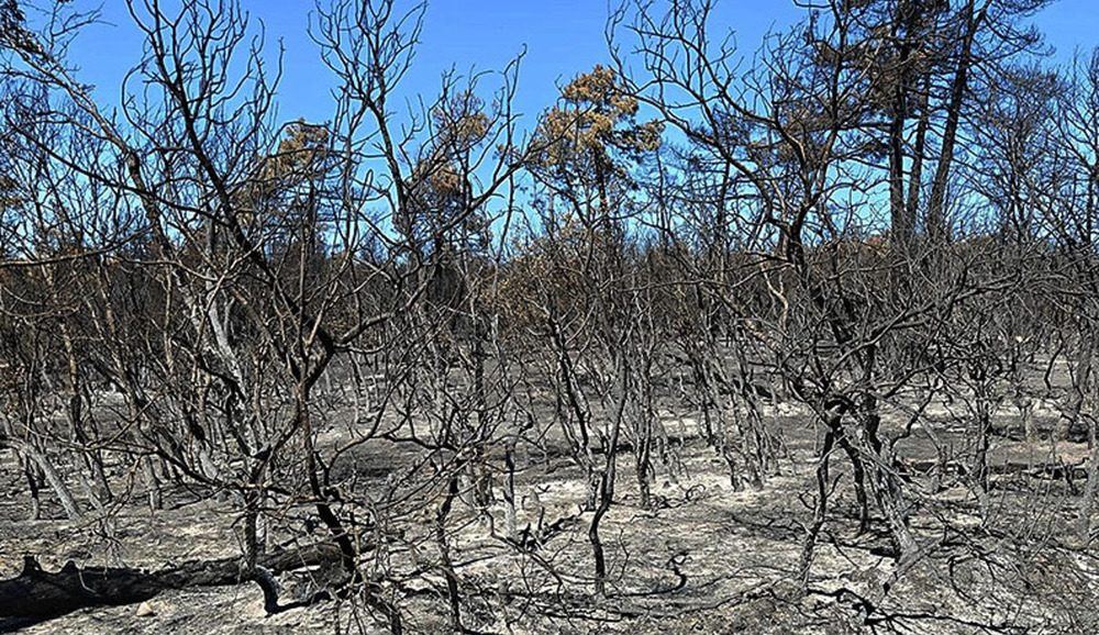 Un incendio devasta 160 hectáreas en Cornudilla en el peor fuego forestal del verano en Burgos