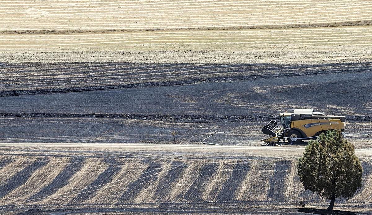 Burgos lleva casi 3.000 hectáreas agrícolas quemadas en diez años y 2026 ya marca el segundo peor registro de la década