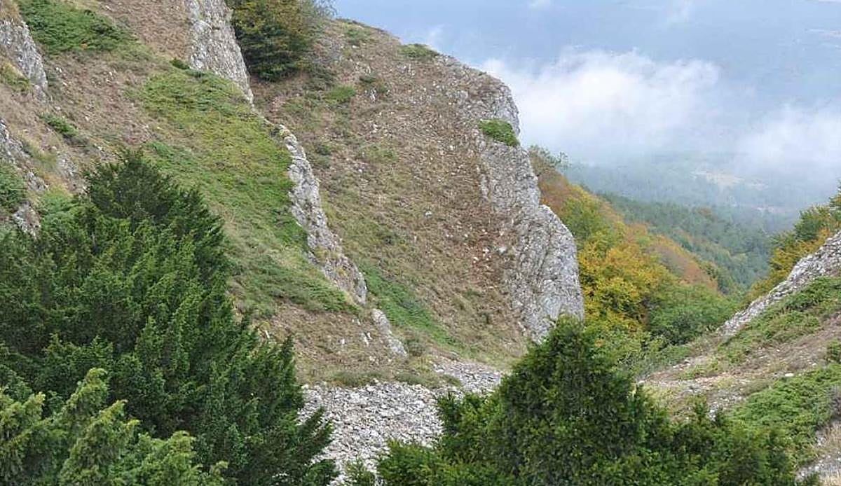 Burgos, una provincia de bosques comunales: casi una de cada cuatro hectáreas pertenece al patrimonio público forestal