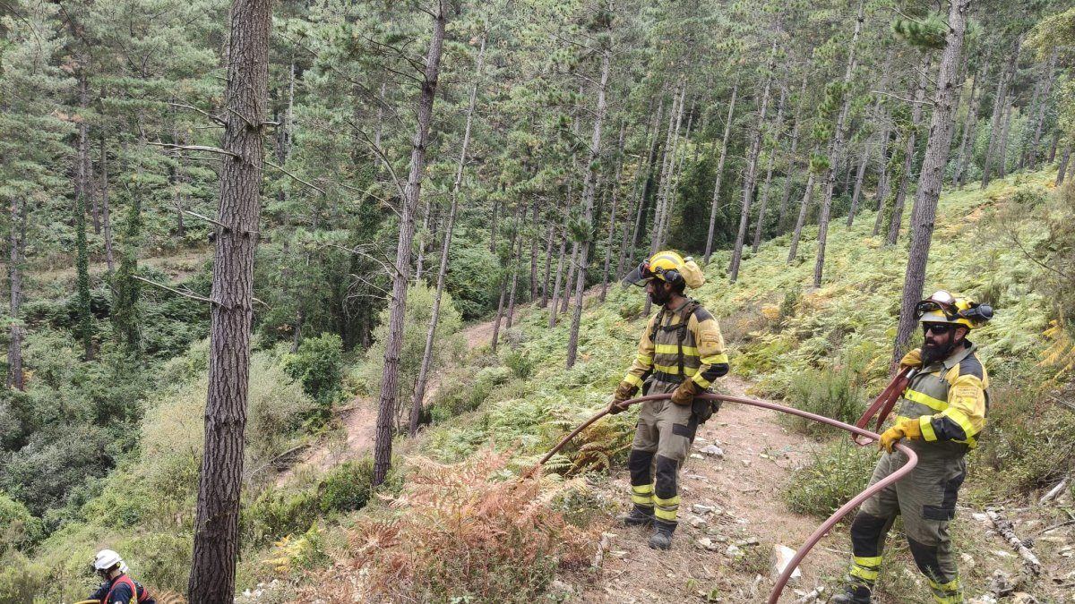 El incendio de Arza, en Valle de Mena, queda controlado tras movilizar a 48 efectivos