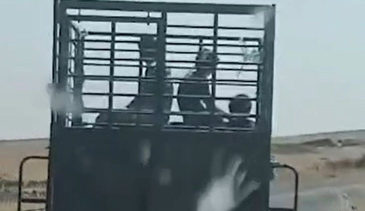 Tres menores viajaban sobre el techo y el maletero de una pick-up en marcha en Cáceres; el conductor, investigado