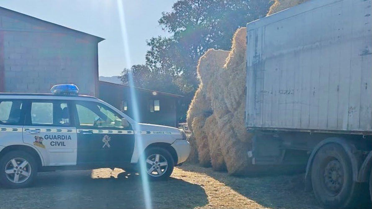Tragedia en el campo cacereño: un agricultor de 68 años muere aplastado por pacas de paja en Berzocana