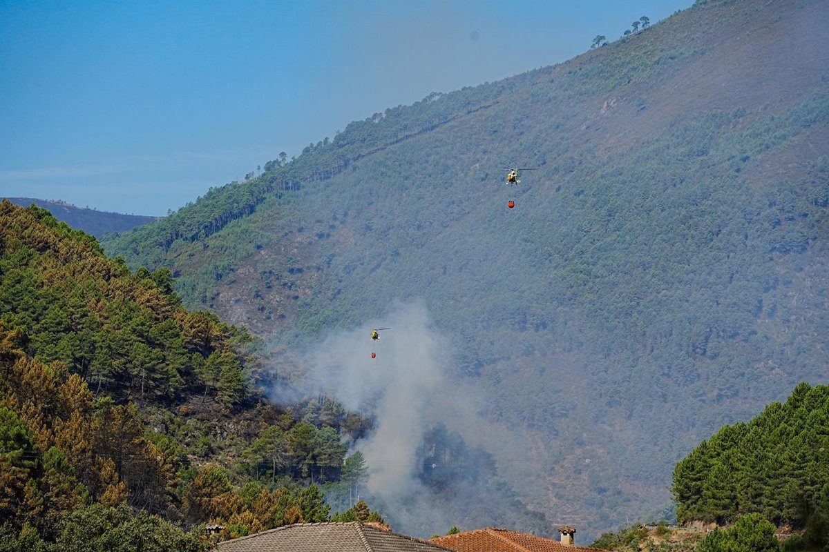 Las Hurdes pone en marcha la recuperación urgente de sus montes quemados tras el incendio de agosto