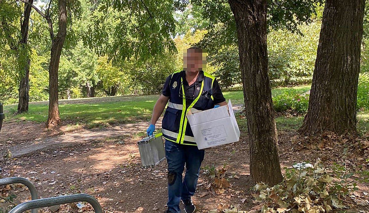 Un jardinero descubre una pistola oxidada enterrada en pleno corazón de Cáceres