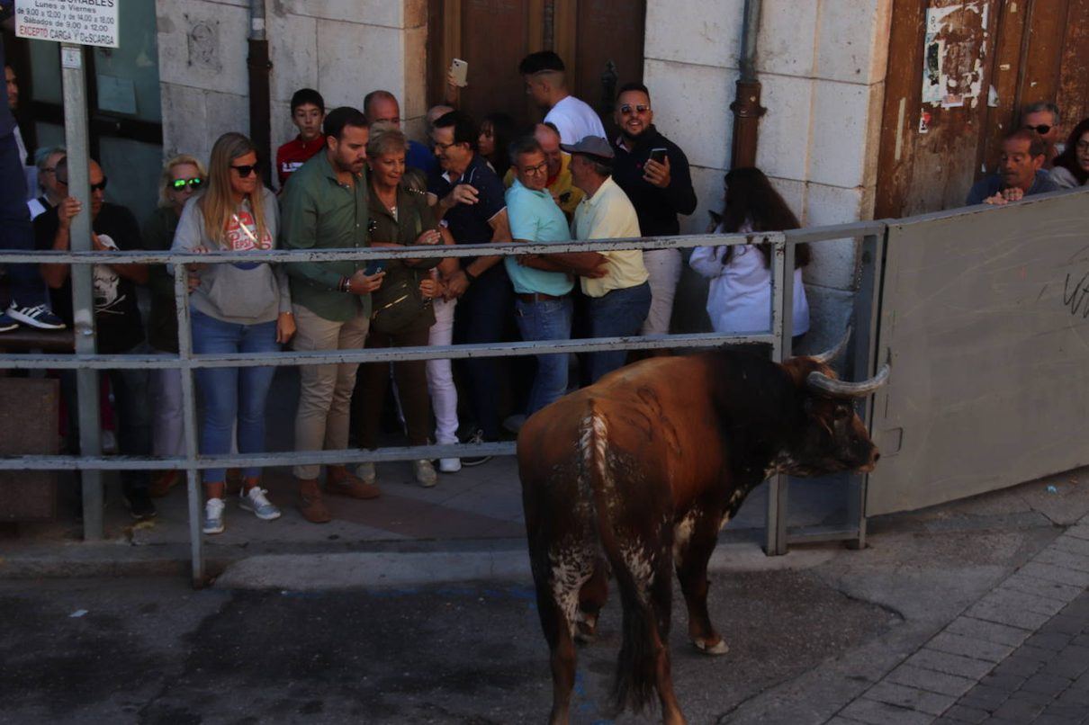 Cuéllar refuerza el control de tráfico en los encierros de San Miguel con nuevas restricciones para vehículos