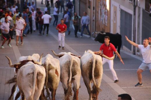 Un programa festivo de 1950 confirma la profunda raíz histórica del encierro de San Miguel en Cuéllar