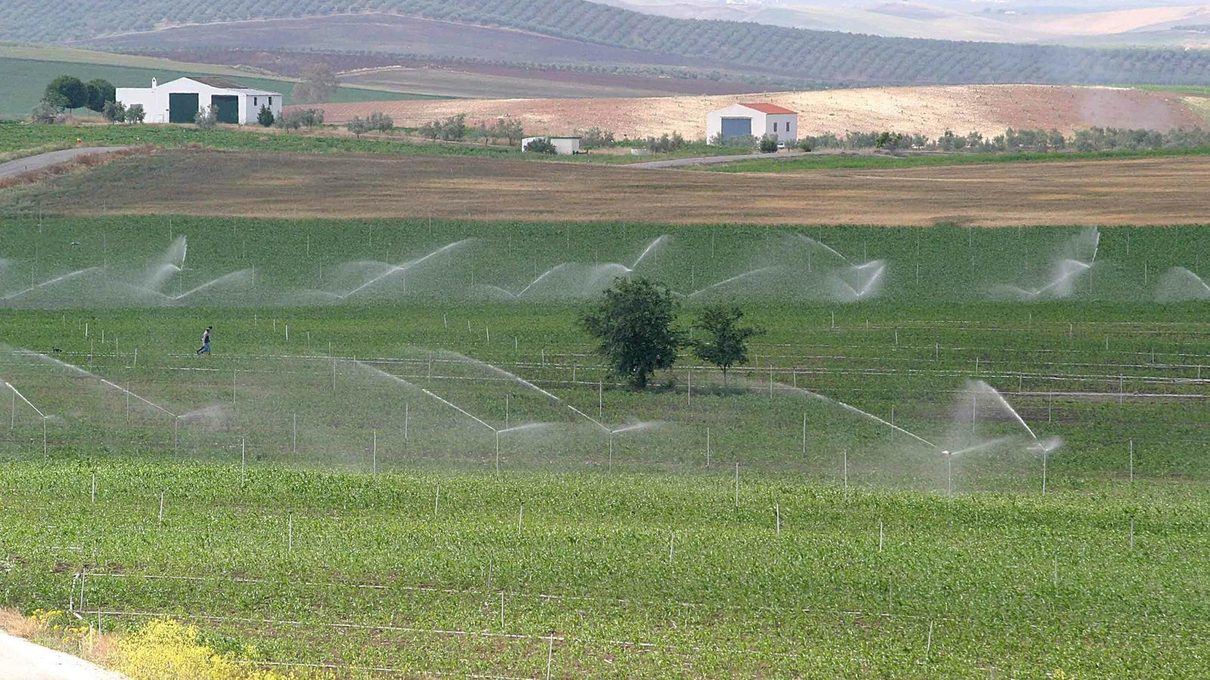 Los agricultores de Guadalajara advierten: la provincia no puede asumir más trasvases de agua hacia Madrid