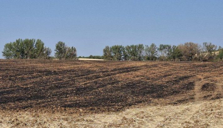 51 días de infierno en la Sierra Norte: extinguido el mayor incendio de la historia de Guadalajara