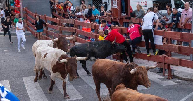 Un toro rezagado en San Ginés añade emoción al tercer encierro de las fiestas de Guadalajara
