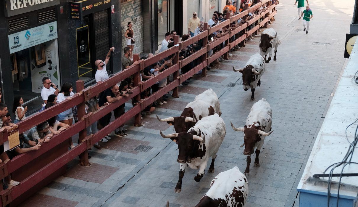 Guadalajara vive dos días de toros, música y tradición en el corazón de sus Ferias y Fiestas 2026