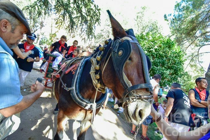 La polémica del burro en Ferias: una asociación animalista exige al Ayuntamiento que cumpla su propio acuerdo de 2016
