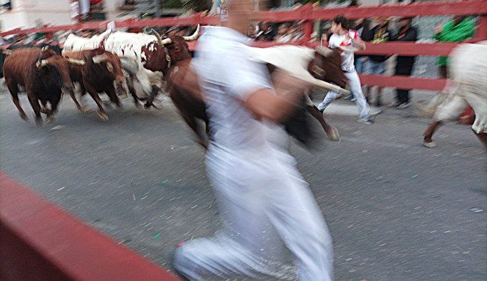 El cuarto encierro de las Ferias de Guadalajara vuela en dos minutos y medio con la plaza más llena que nunca