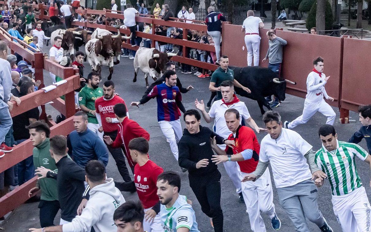 Guadalajara vive su mejor encierro de las Ferias con el coso de Las Cruces a rebosar y sin un solo herido