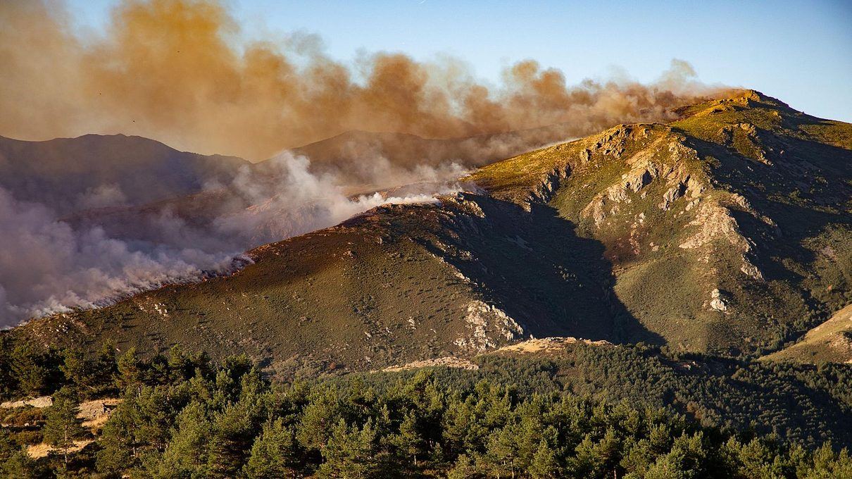 Las llamas de la Sierra Norte de Guadalajara ceden tras días de lucha sin descanso