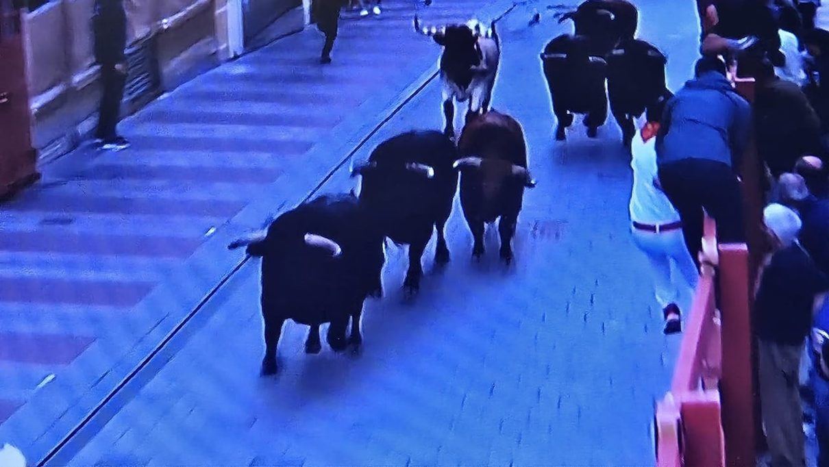 El encierro más emocionante de las fiestas: un toro solitario pone en vilo a Guadalajara