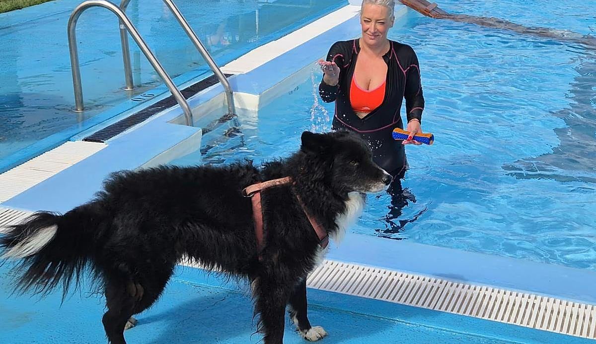 Villaquilambre despide el verano abriendo su piscina municipal a los perros este domingo 13 de septiembre