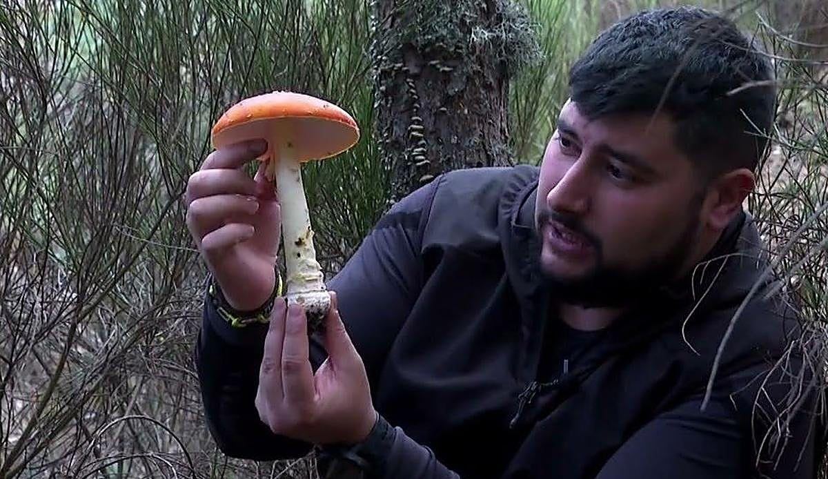 Sabero acogerá un curso gratuito para convertir las setas del monte leonés en una salida profesional real