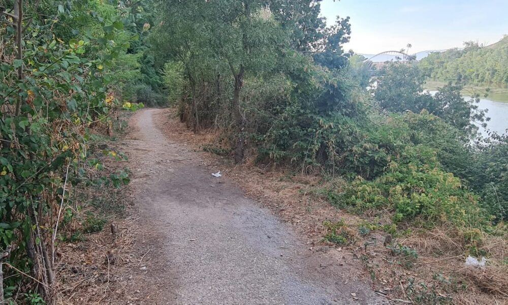 Vecinos reclaman al Ayuntamiento que rescate del abandono un sendero junto al Ebro engullido por la maleza