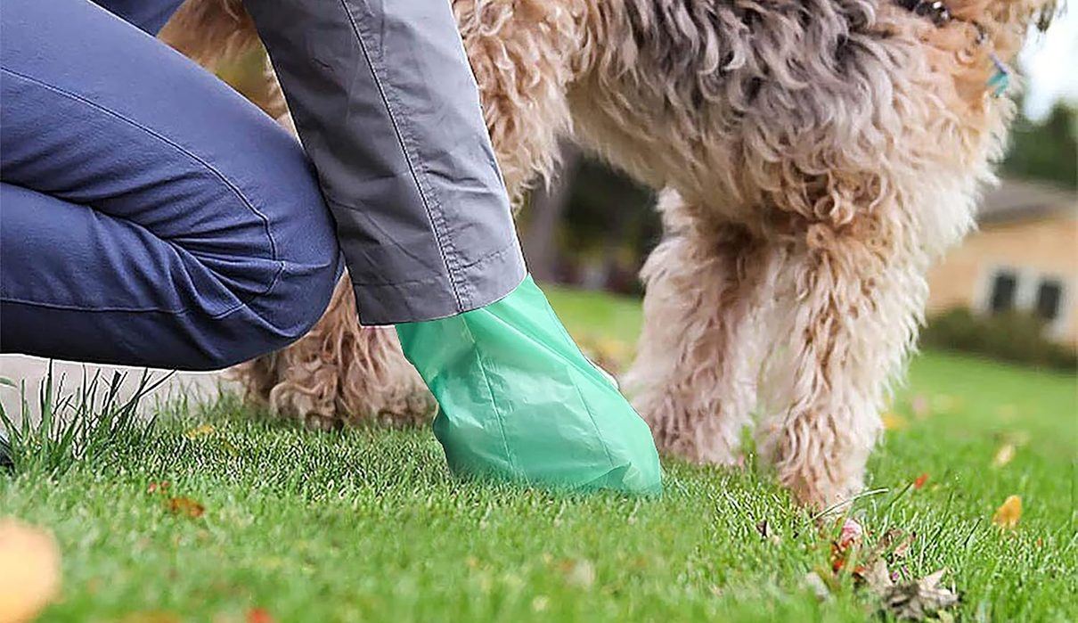 Marratxí lanza una campaña con 4.000 kits gratuitos para mantener las calles limpias de excrementos caninos