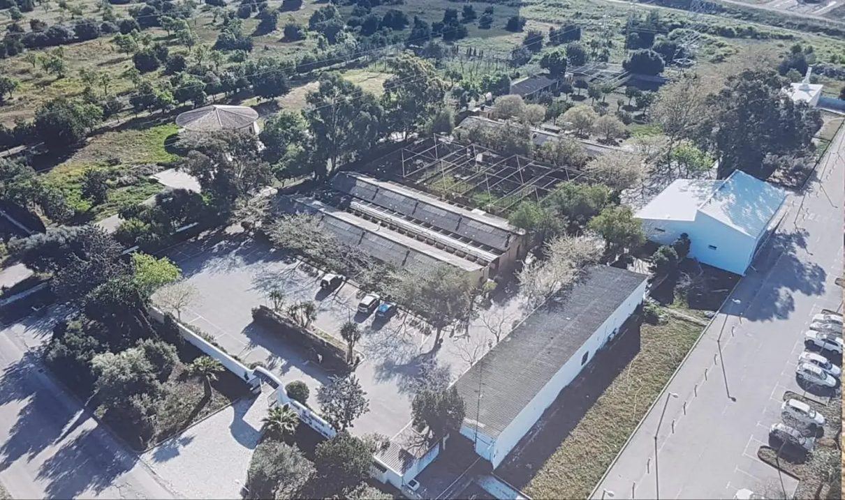 UGT abandona la huelga en Son Reus pero prepara una batalla legal contra Athisa y el Ayuntamiento de Palma